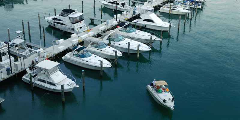 Boats docked at marina