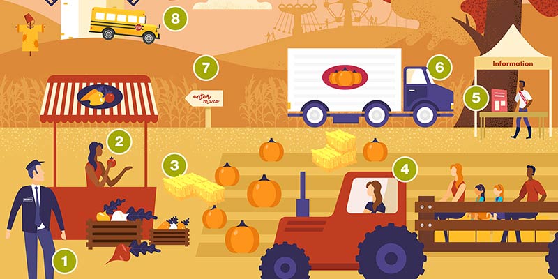 Fall Festival Coverage