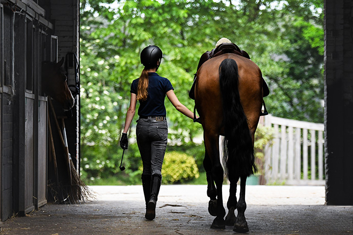 A rider and her horse