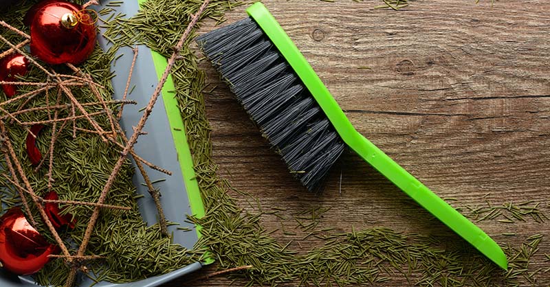 Christmas tree debris on the ground