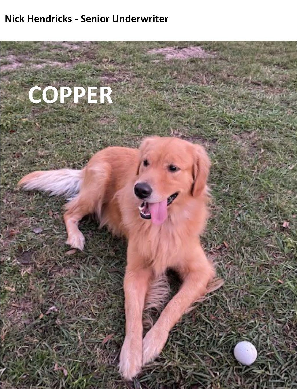 Nick Hendricks' pets