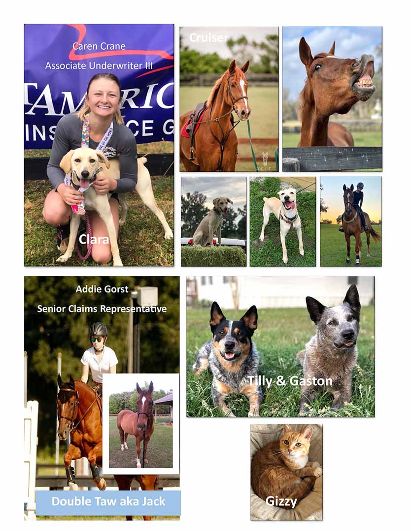 June 2023 Petparazzi