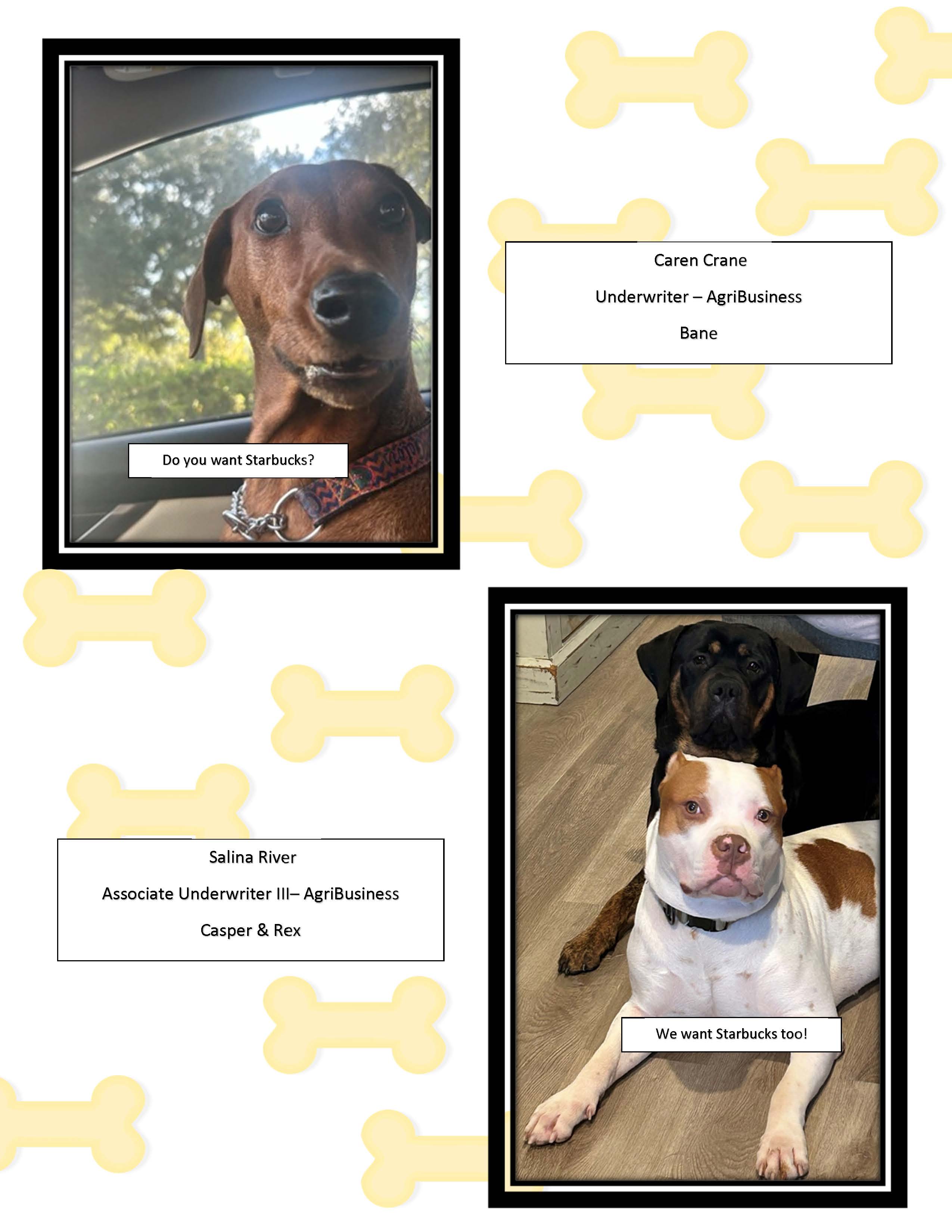 Petparazzi February 2025 edition