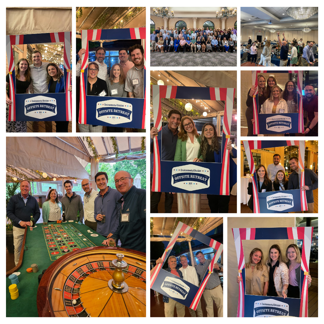 Collage of images from divisional meeting