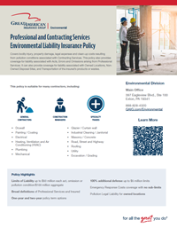 Professional and Contracting Services Flyer