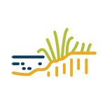 Public Entity-Icon3_web