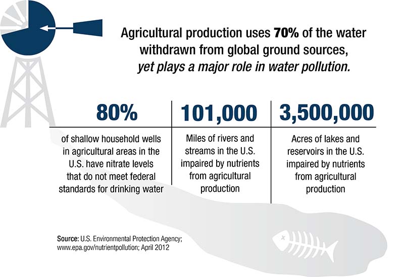 Water Pollution Inforgraphic
