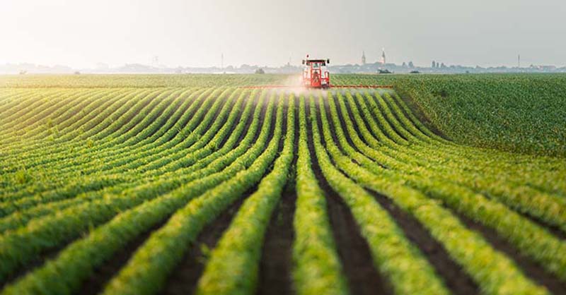 Agribusiness-Main Graphic