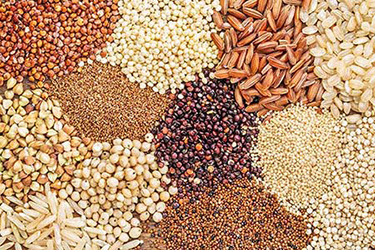 An image of different types of grain